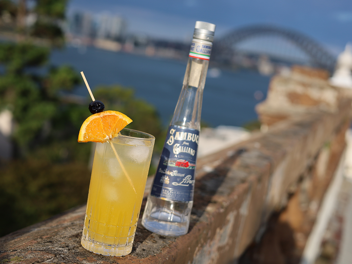 073 – Harvey&nbsp;Wallbanger